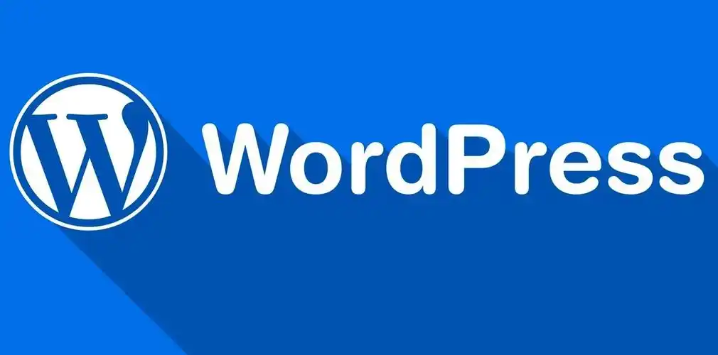 WordPress完全指南：从搭建到优化，零基础也能玩转专业网站-WordPress站长笔记